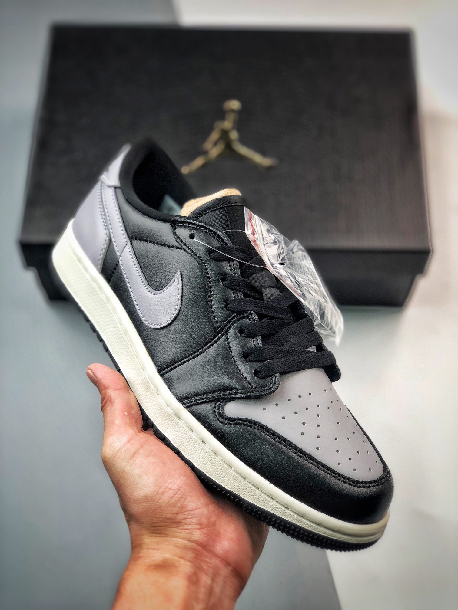Air Jordan 1 Low OG Golf Shadow Black/Sail/Medium Grey DD9315-001