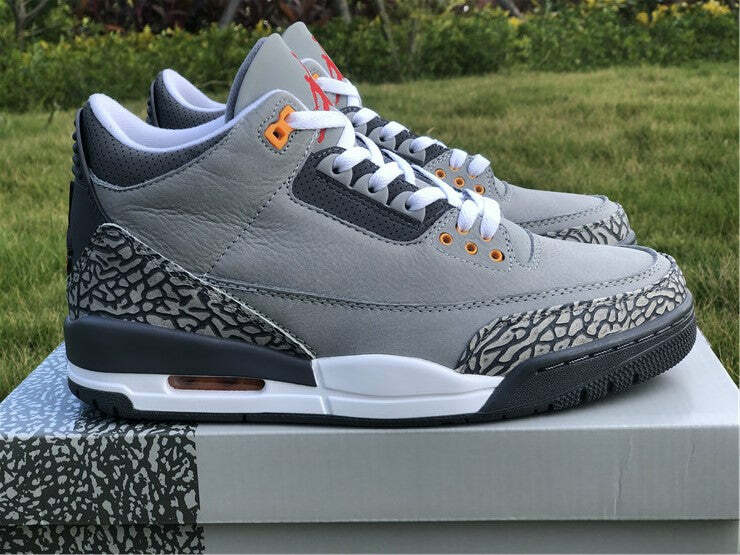 Air Jordan 3 Retro Cool Grey (2021)