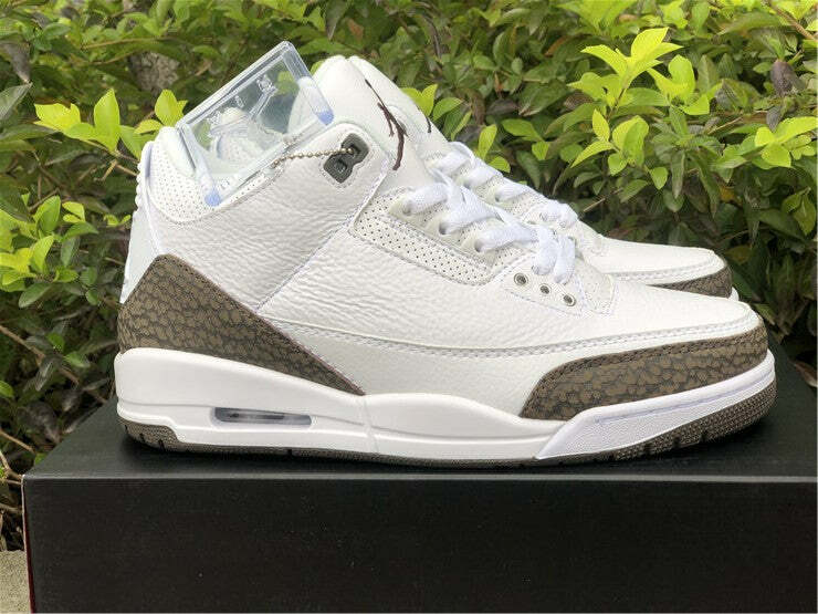Air Jordan 3 Retro Mocha (2018)