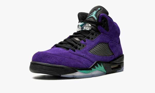 Air Jordan 5 Retro “Alternate Grape” - Image 5