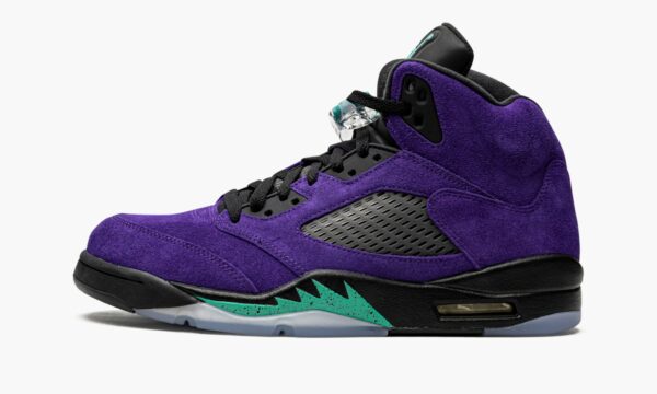 Air Jordan 5 Retro “Alternate Grape” - Image 2