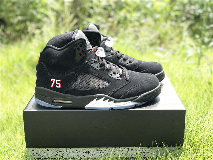 Air Jordan 5 Retro Paris Saint-Germain