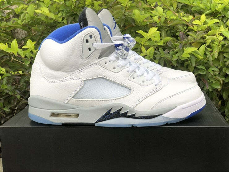 Air Jordan 5 Retro White Stealth (2021)