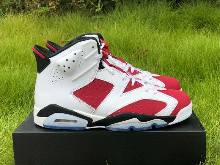 Air Jordan 6 Retro Carmine (2014)