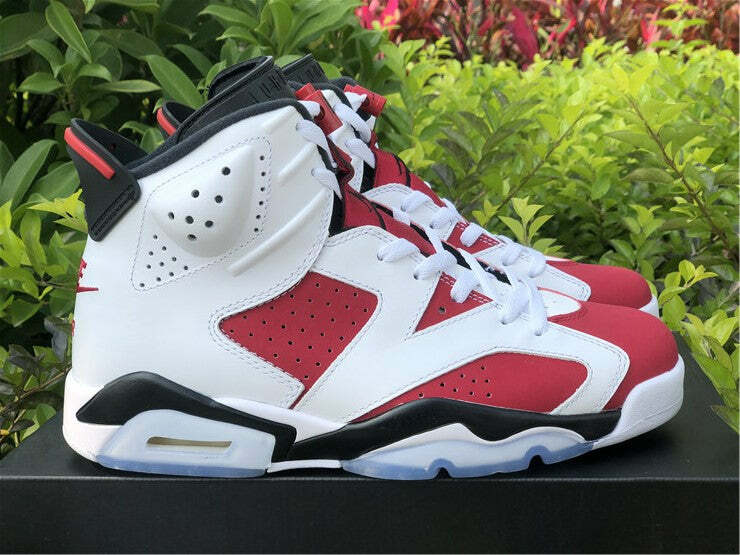 Air Jordan 6 Retro Carmine (2021)