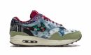 Air Max 1 "Concepts - Mellow"