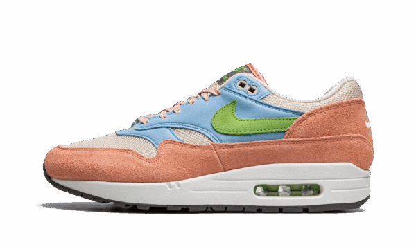 Air Max 1 "Light Madder Root"