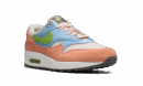 Air Max 1 "Light Madder Root"