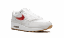 Air Max 1 "The Bay"
