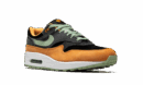 Air Max 1 "Ugly Duckling - Honeydew"
