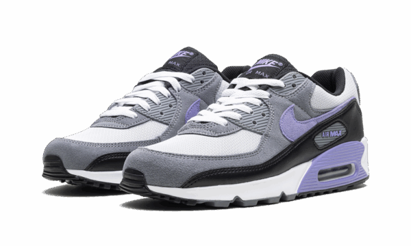 Air Max 90 "Light Thistle" - Image 2
