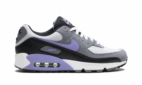 Air Max 90 "Light Thistle" - Image 6