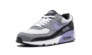 Air Max 90 "Light Thistle"