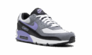 Air Max 90 "Light Thistle"