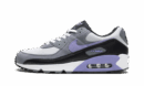 Air Max 90 "Light Thistle"