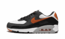 Air Max 90 "Starfish"