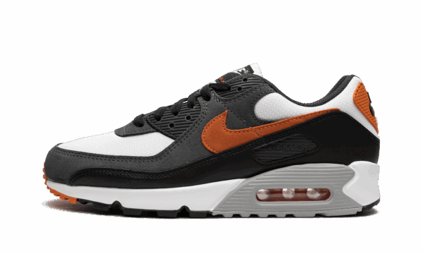 Air Max 90 "Starfish"
