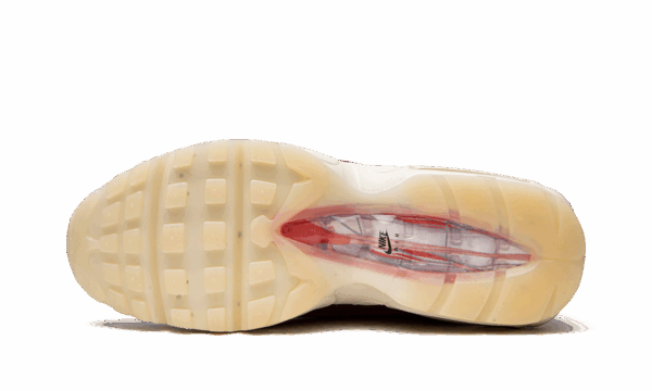 Air Max 95 QS "Anatomy of Air" - Image 5