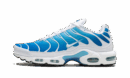 Air Max Plus "Blue Gaze"