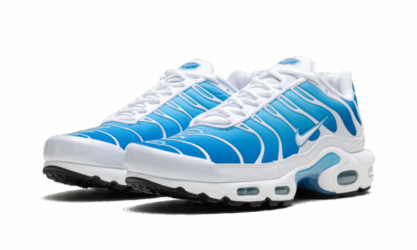 Air Max Plus "Blue Gaze" - Image 2