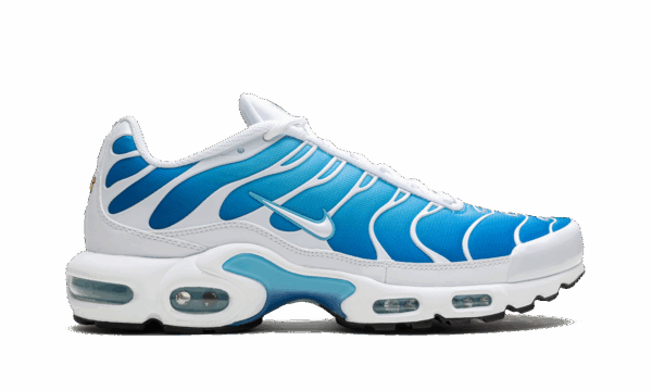 Air Max Plus "Blue Gaze" - Image 6