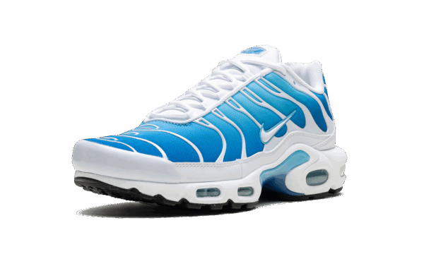 Air Max Plus "Blue Gaze" - Image 4