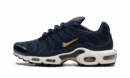 Air Max Plus "FFF"