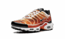 Air Max Plus "Light Photography - Sport Red"