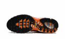 Air Max Plus "Light Photography - Sport Red"
