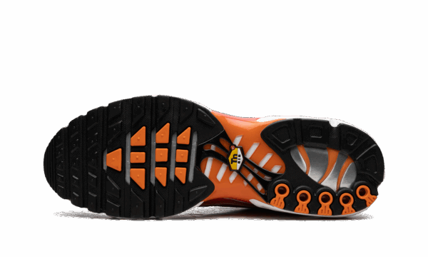 Air Max Plus "Light Photography - Sport Red" - Image 5