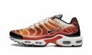 Air Max Plus "Light Photography - Sport Red"