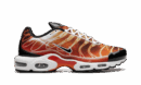 Air Max Plus "Light Photography - Sport Red"