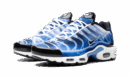 Air Max Plus "Light Streaks"