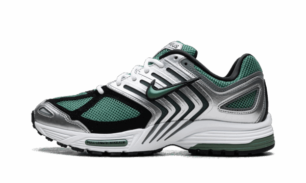 Air Peg 2K5 "Metallic Silver Bicoastal"