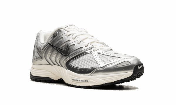 Air Pegasus 2K5 WMNS "Chrome" - Image 7