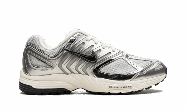 Air Pegasus 2K5 WMNS "Chrome" - Image 6
