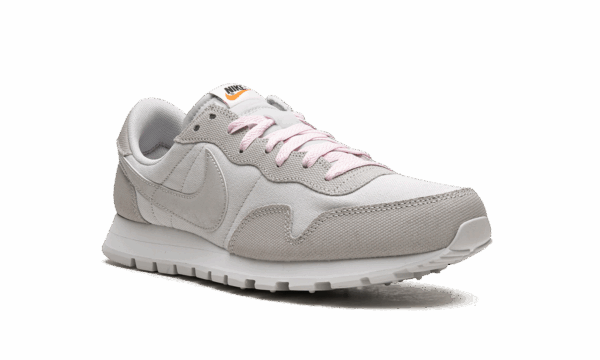Air Pegasus 83 - Image 7