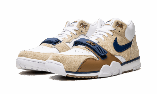 Air Trainer 1 "Limestone" - Image 2