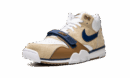 Air Trainer 1 "Limestone"