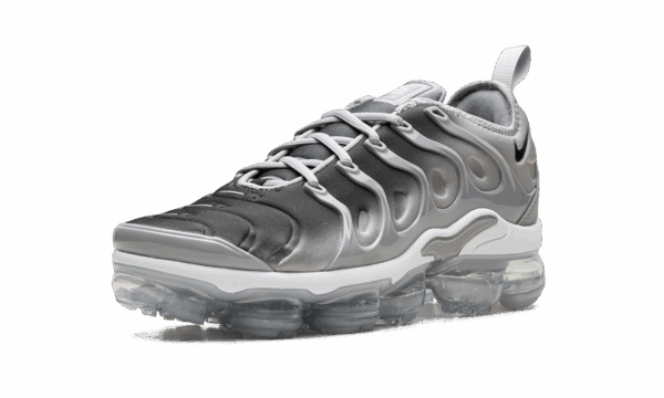 Air Vapormax Plus "Silver Gradient" - Image 5
