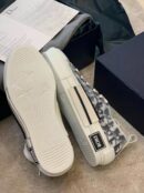 Christian Dior B23 Oblique SneakersLow-Top Sneaker Spring/Summer Collection White/Navy Blue