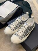 Christian Dior B23 Oblique SneakersLow-Top Sneaker Spring/Summer Collection White/Navy Blue