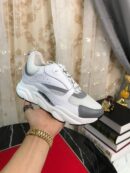 Dior B22 'White Grey'