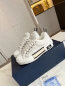 Dior B23 Low Dior Oblique sneaker