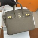 Hermes Birkin 25 Nata Swift Gold Hardware Brown