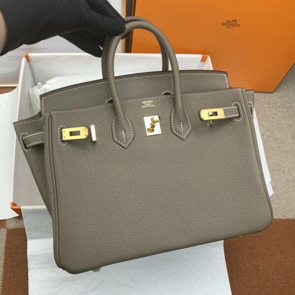 Hermes Birkin 25 Nata Swift Gold Hardware Brown - Image 4