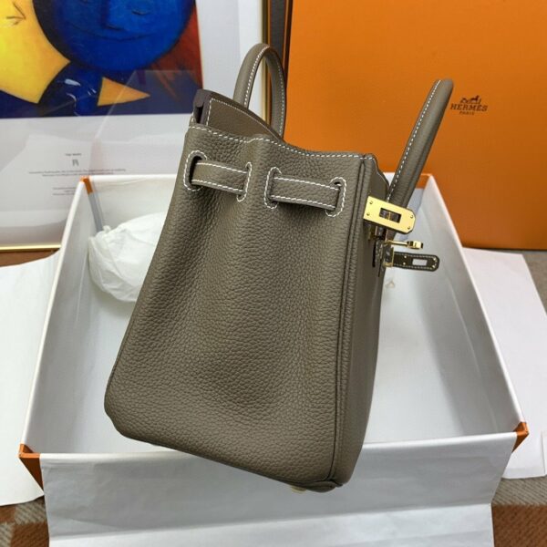 Hermes Birkin 25 Nata Swift Gold Hardware Brown - Image 6