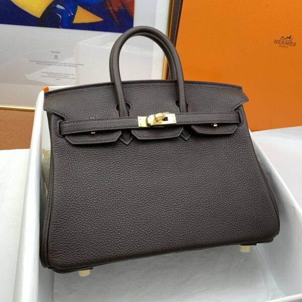 Hermes Birkin 25 Nata Swift Gold Hardware Dark Brown