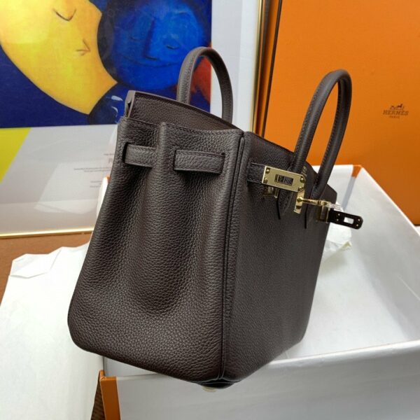Hermes Birkin 25 Nata Swift Gold Hardware Dark Brown - Image 8