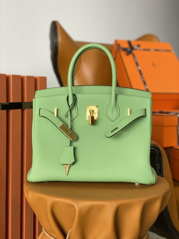Hermes Birkin 25 Nata Swift Gold Hardware Green - Image 2